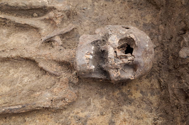 istock Archaeological excavation with skeletons 684056030