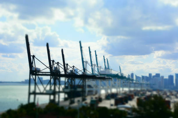 istock The port in Miami 684057350
