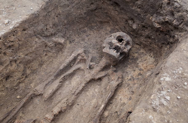istock Archaeological excavation with skeletons 684057392