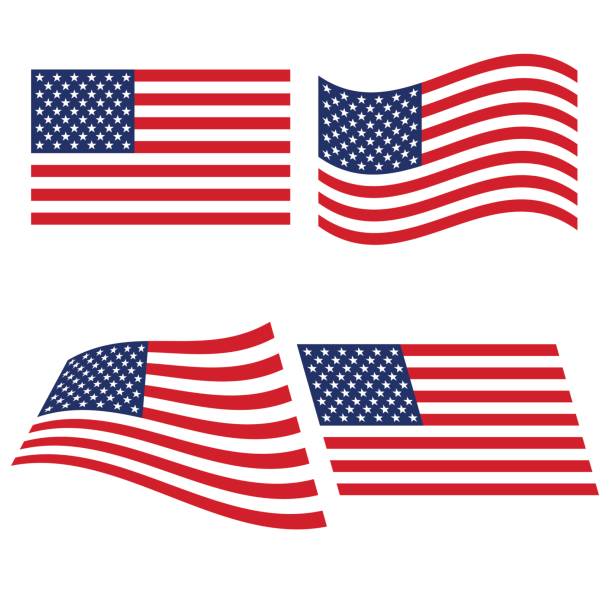 Flag of the United States in various variants of bending vector art illustration