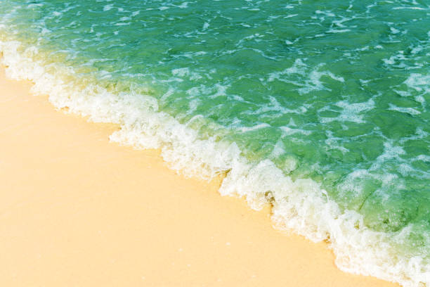 istock Soft wave of blue ocean on sandy beach 684087150