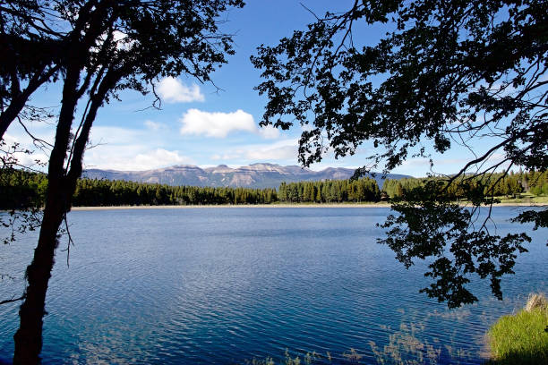 Lagoon at the Coyhaique National Reserve, Chile. It is a national reserve in southern Chile.