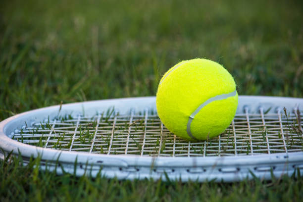 istock Tennis sport 684093276