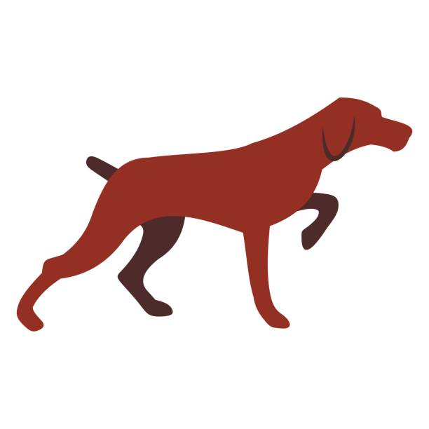 ภาพประกอบสต็อกที่เกี่ยวกับ “ไอคอนสุนัขล่าสัตว์ - pointer dog”
