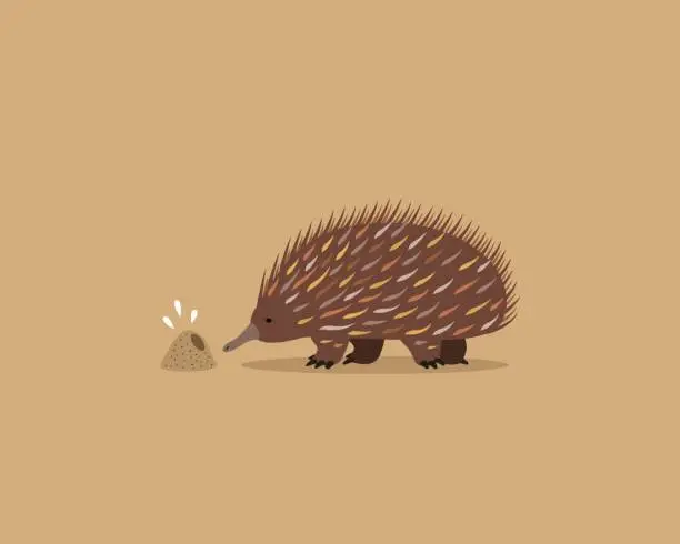Vector illustration of Echidna and ant hole (colony)