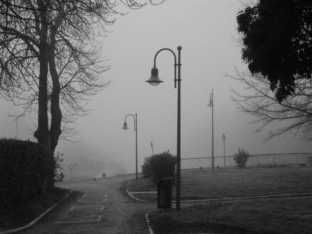 istock Fog in Agen countryside 684108308
