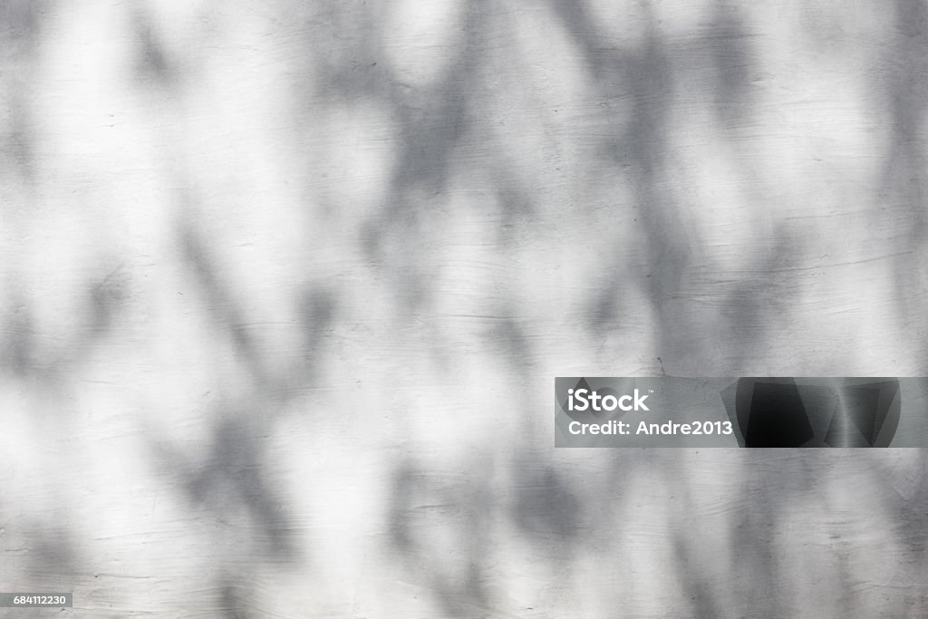 Shadows from foliage on a plastered wall Solar glare and shadows on the wall from the leaves Abstract Stock Photo