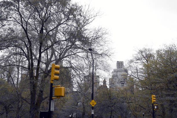 istock Traffic light in New York 684114734