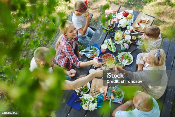 Toasting By Dinner Stock Photo - Download Image Now - Picnic, Summer, Family