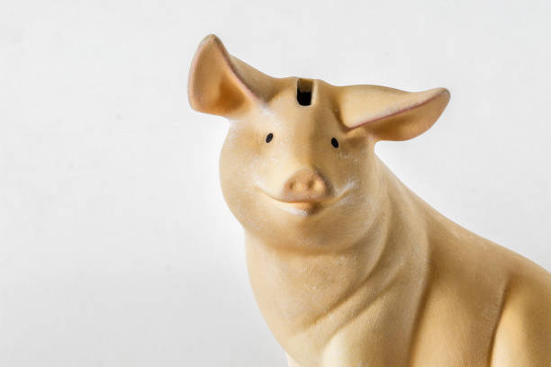 istock Piggy bank 684126502