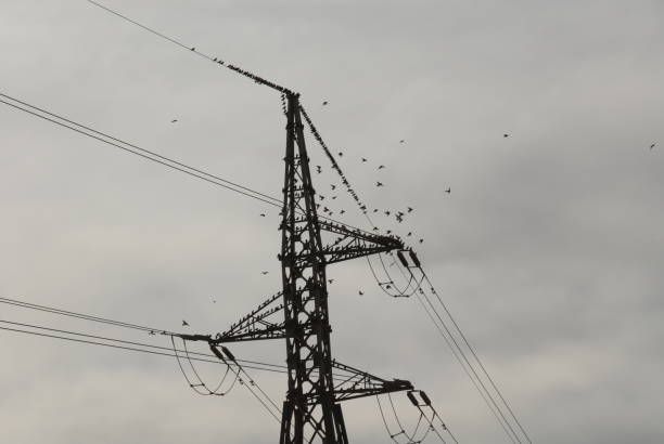 istock High-voltage power line in Spain 684132640
