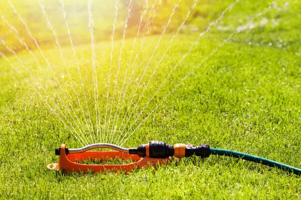 lawn sprinkler spaying water over green grass irrigation system