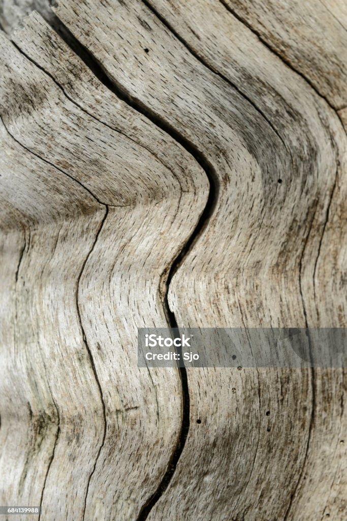 Sfondo struttura in legno con linee di piegatura - Foto stock royalty-free di Ambientazione esterna