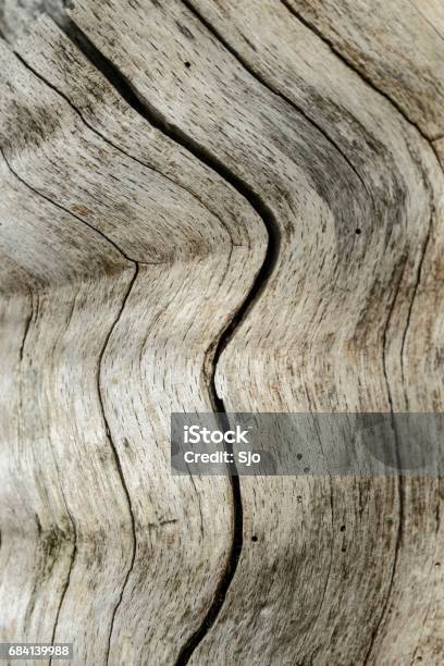 Sfondo Struttura In Legno Con Linee Di Piegatura - Fotografie stock e altre immagini di Ambientazione esterna - Ambientazione esterna, Astratto, Composizione verticale