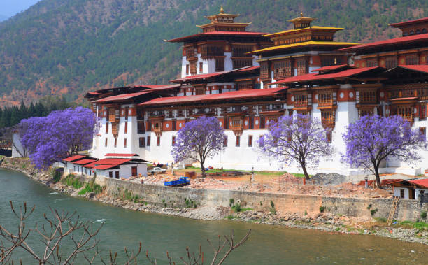 istock Punakha Dzong, Bhutan 684143888