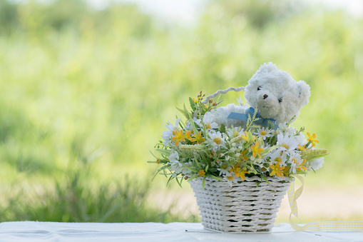 White Teddy Bear with flower bouquet in white basket