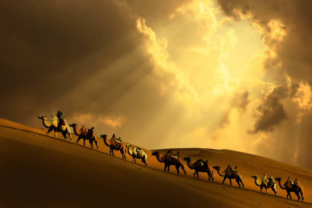 caravana en el desierto - gobi desert fotografías e imágenes de stock