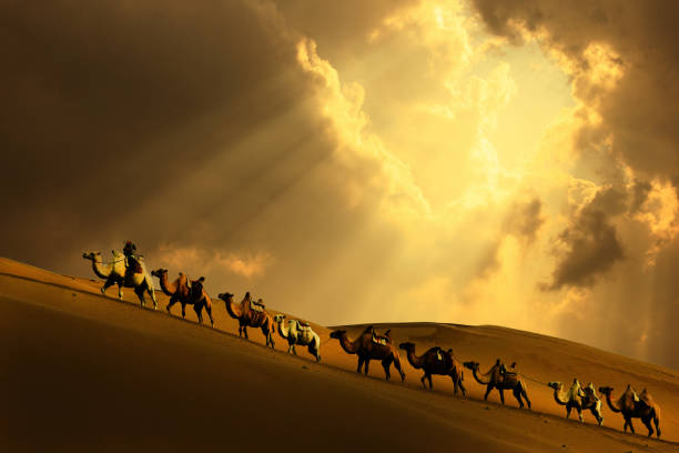 caravan の砂漠 - gobi desert ストックフォトと画像