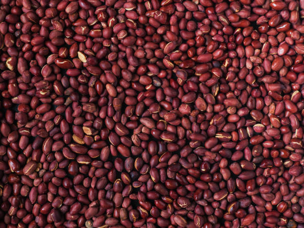 istock closeup of redskin roasted peanuts 684152110