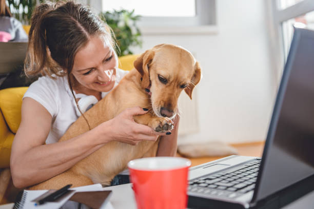istock Woman embracing dog sitting on floor 684155868