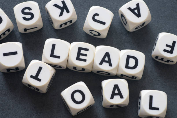 istock word lead on toy cubes 684164358