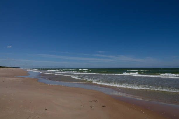istock Beach in Baltic Sea 684167994