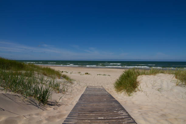 istock Footpath leading to the sea with waves 684167996