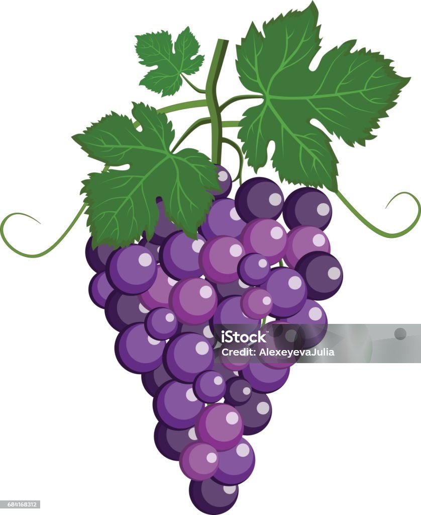 Fresh bunch of grapes purple icon on white background. vector illustration in flat style. cluster of grape with purple leaves vector illustration Grape stock vector