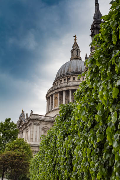 istock Leaves and St Pauls cathedral 684213632