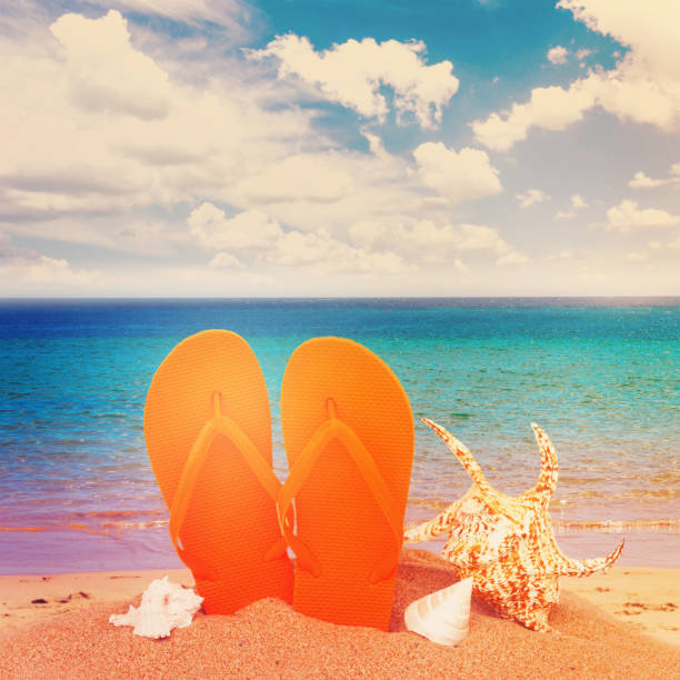 Beach scene. Women's accessories. Sunglasses, flip flops sandals and a beach bag lying on a seashell shell