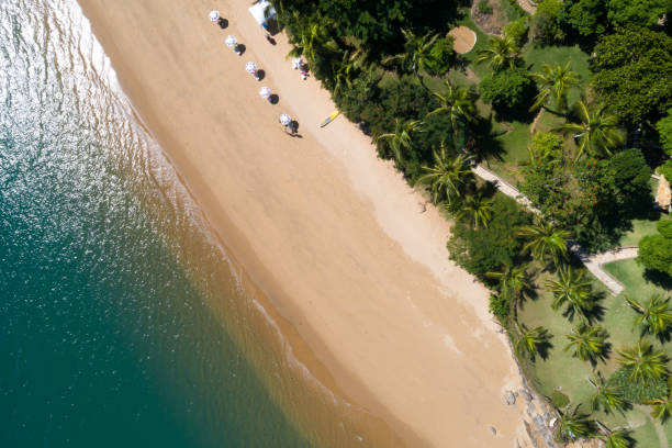 Aerial View of a Beach in Ilhabela, Brazil stock photo
