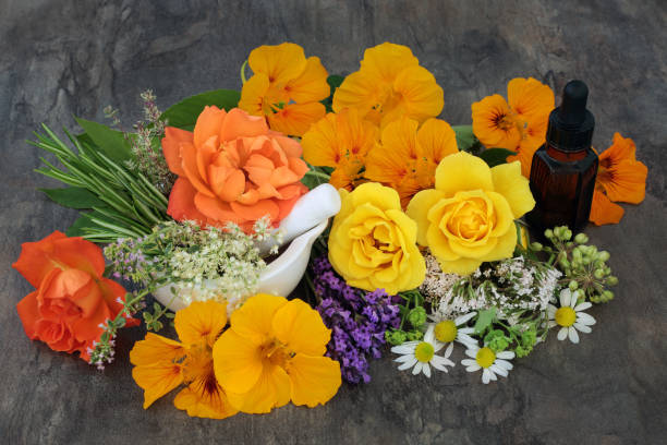 terapia naturalnych kwiatów i ziół - mortar and pestle lavender chamomile herb zdjęcia i obrazy z banku zdjęć