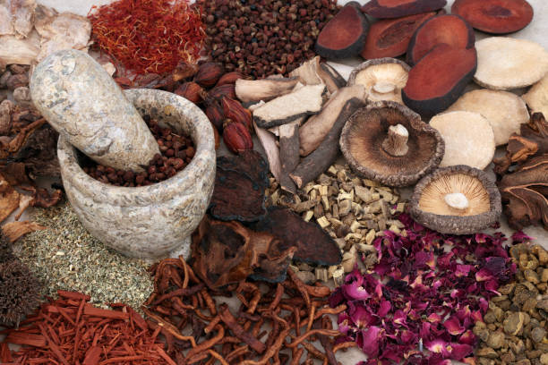 traditional chinese herbal medicine - chinese medicine medicine ancient herbal medicine imagens e fotografias de stock
