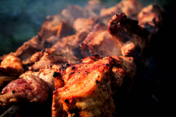 istock Barbecue skewers with meat 684249786