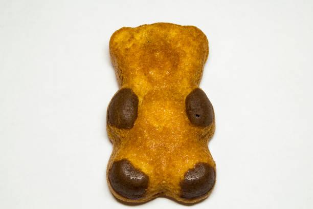 hand made chocolate cake, have form - bear with white chocolate icing