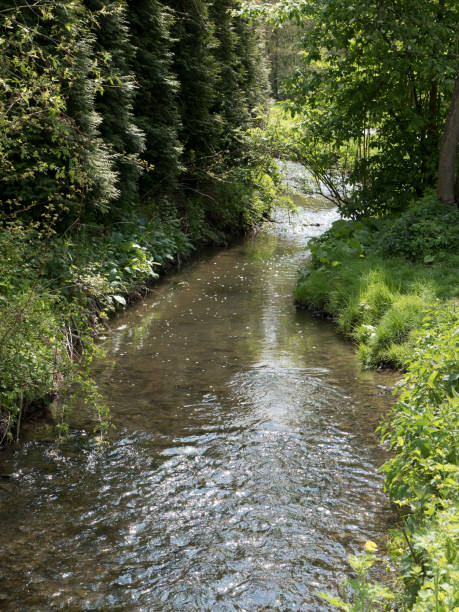 istock Small stream flowing through picturesque valley with meadows and forests. 684256334