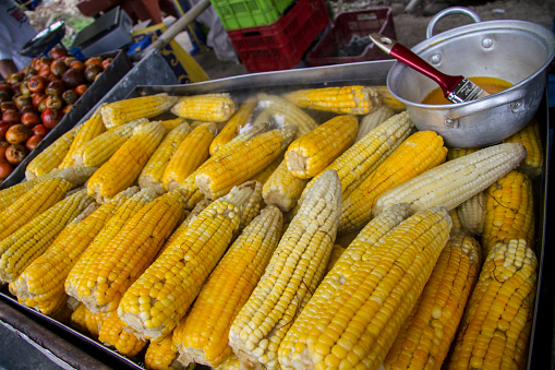 Grilled Corn on the Cob at a fair in Costa Rica