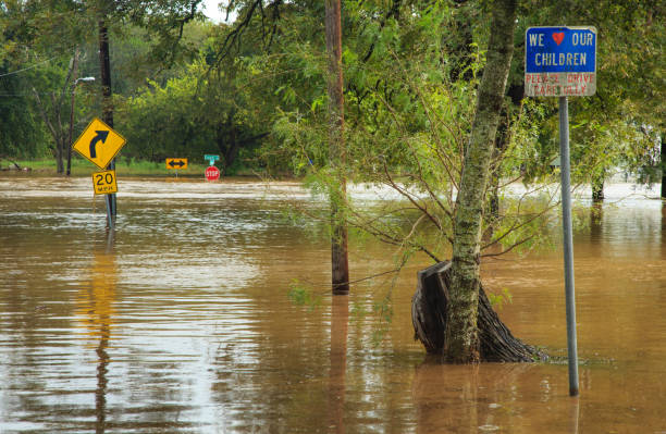 istock Street signs in flood 684315486
