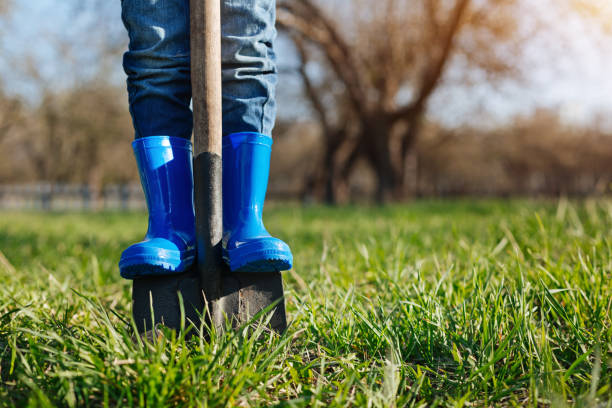 Close up of childs feet in rubber boots on shovel Juvenile helper. Little boy wearing bright blue wellies helping his family members by digging a spade into ground vernal utah stock pictures, royalty-free photos & images