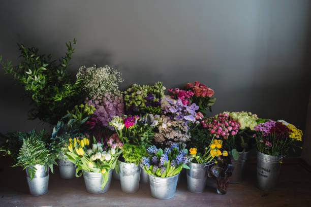 blumen in eimer in einem blumenladen - rose flower shop variation color image stock-fotos und bilder