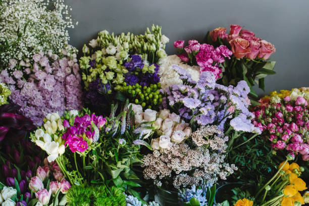 blumen in eimern in einem blumenladen - rose flower shop variation color image stock-fotos und bilder