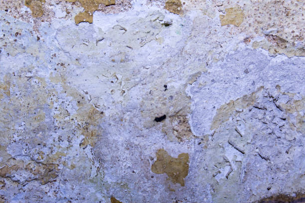 istock Texture of an old scratched shabby wall 684362902