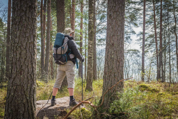istock Hiking in the woods, active people, tourists, back view 684367098