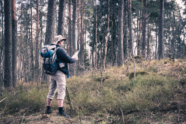 istock Hiking in the woods, active people, tourists, back view 684367102