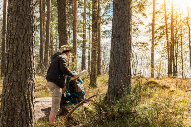 istock Hiking in the woods, active people, tourists, back view 684367110