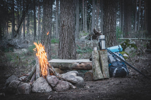 istock Holiday destination in a forest trip by the fire 684367124