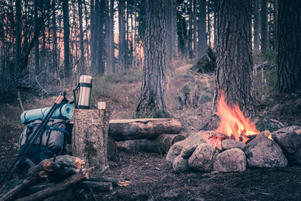 istock Holiday destination in a forest trip by the fire 684367128
