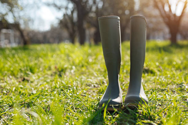 Wellingtons standing on green lawn Boggy famers work. A pair of green rubber boots standing on fresh young grass on a countryside landscape background vernal utah stock pictures, royalty-free photos & images