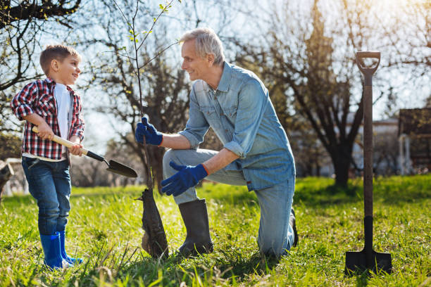 istock Excited senior gardener and kid setting tree in garden 684403830
