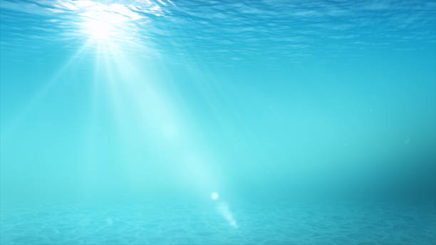 istock Underwater blue background in sea with copy space 684405374